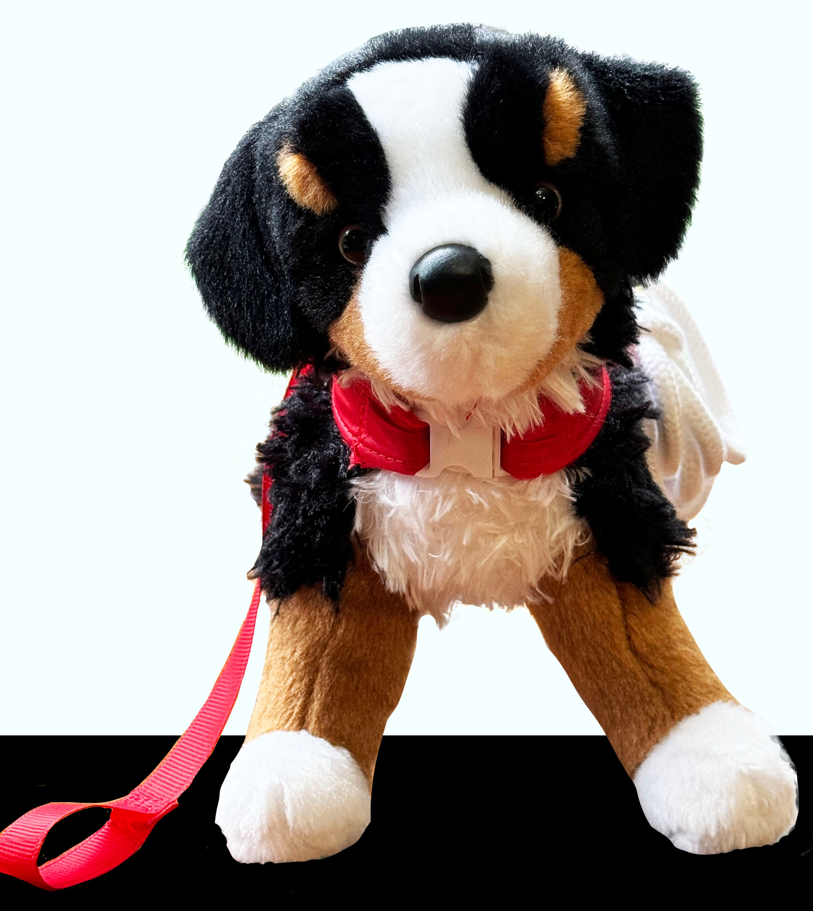 Noah's Dog Jack with Rescue Vest