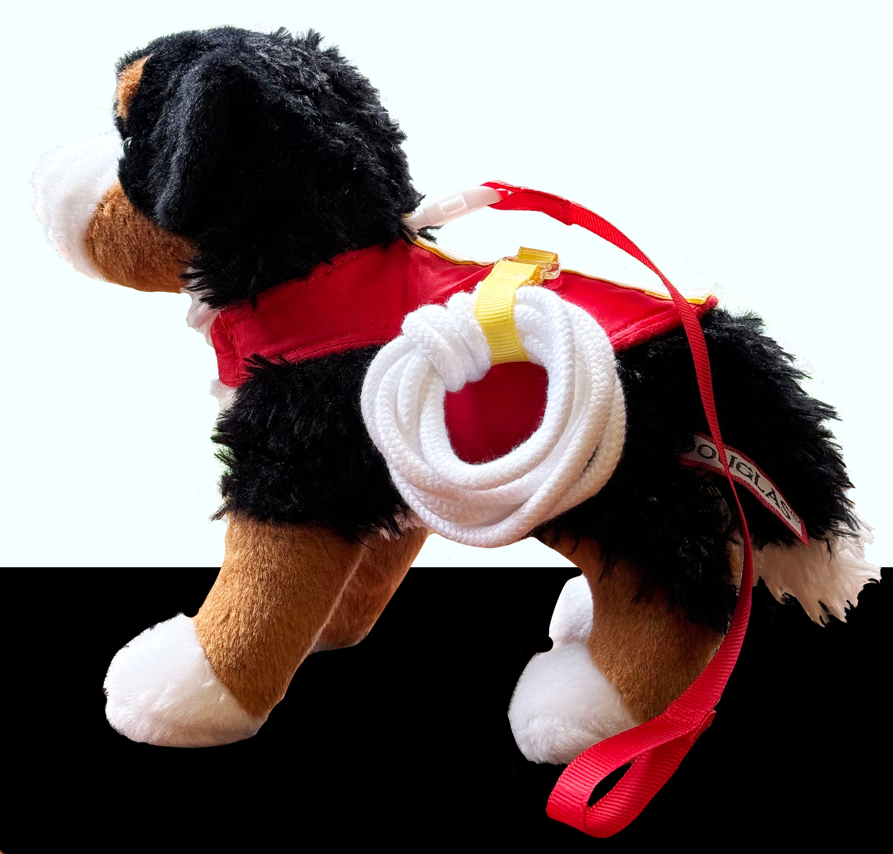 Noah's Dog Jack with Rescue Vest