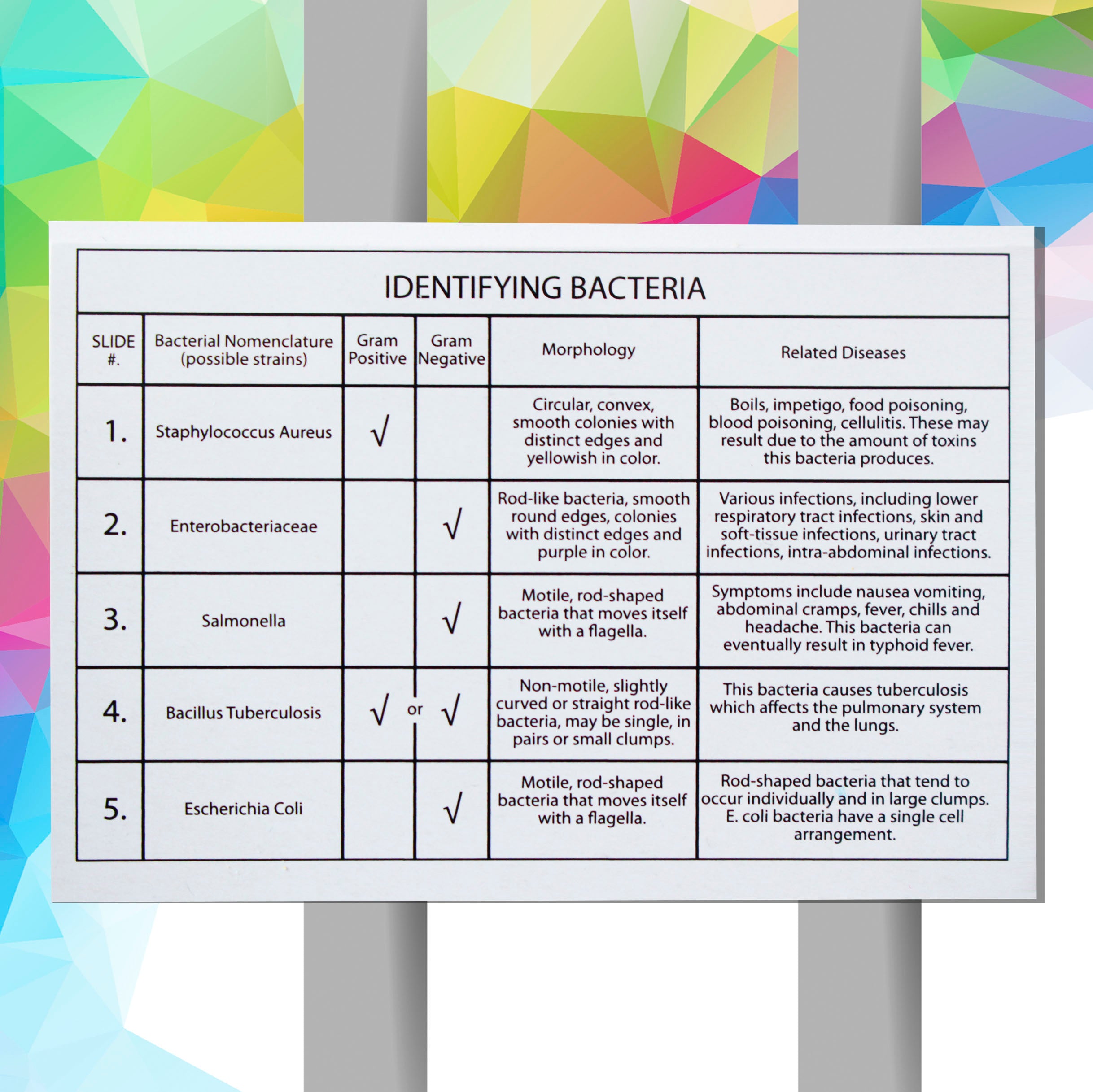 Science is for Kids Biology Kit