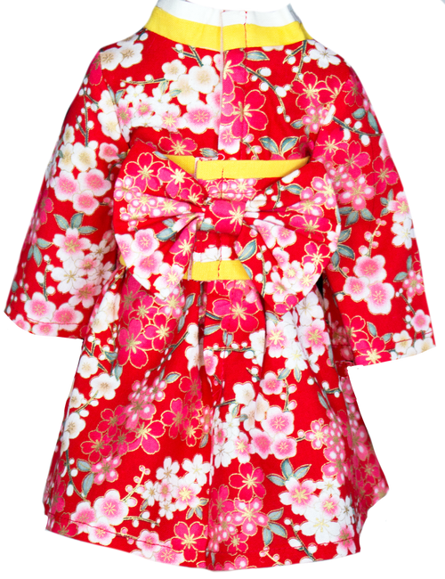 Melina's Modern Spring Kimono Dress